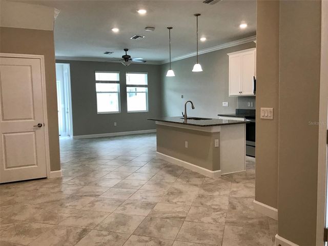 18672 NOBLE CASPIAN DRIVE, Lutz, FL 33558