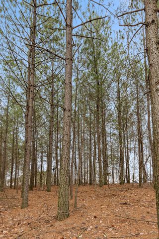 0 Crockett Point, Sequatchie, TN 37374