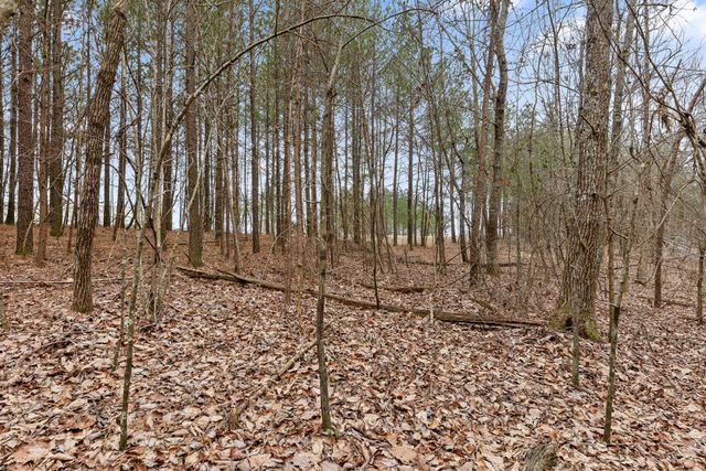 0 Crockett Point, Sequatchie, TN 37374