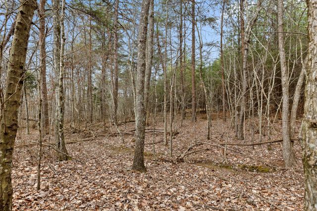 0 Crockett Point, Sequatchie, TN 37374