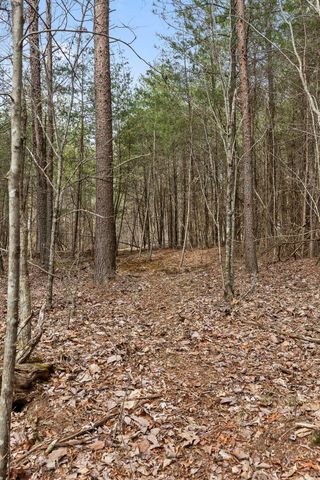 0 Crockett Point, Sequatchie, TN 37374
