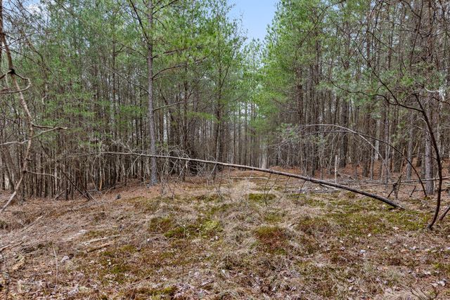 0 Crockett Point, Sequatchie, TN 37374