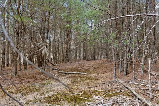 0 Crockett Point, Sequatchie, TN 37374