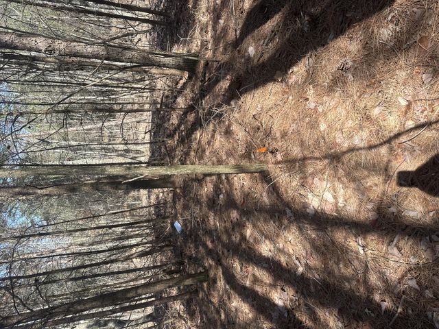 0 Crockett Point, Sequatchie, TN 37374