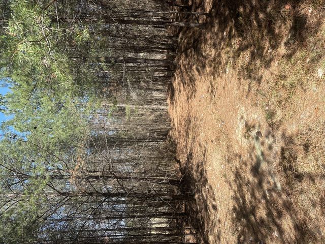 0 Crockett Point, Sequatchie, TN 37374