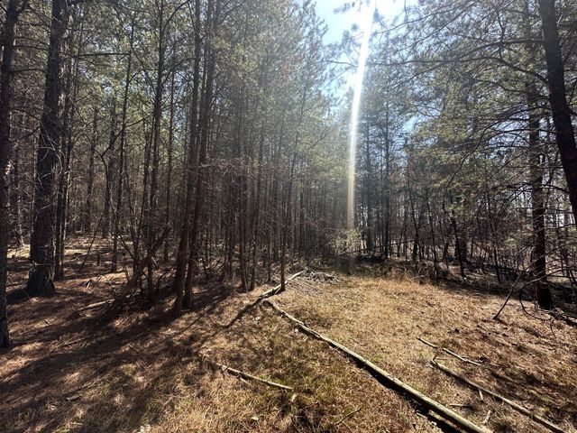 0 Crockett Point, Sequatchie, TN 37374