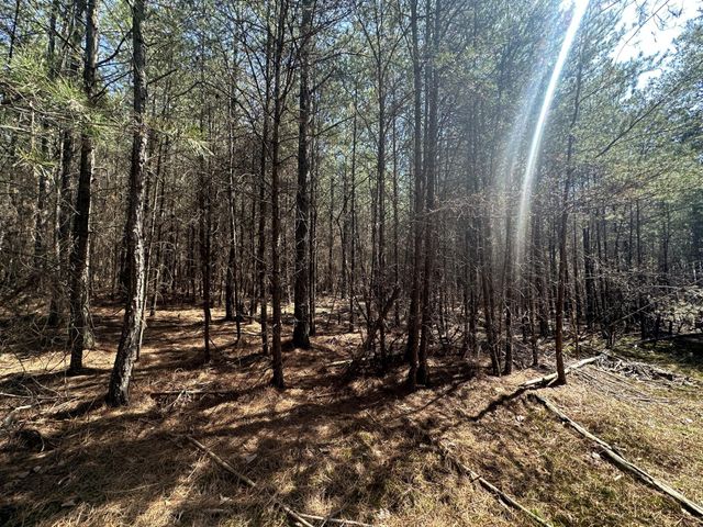 0 Crockett Point, Sequatchie, TN 37374