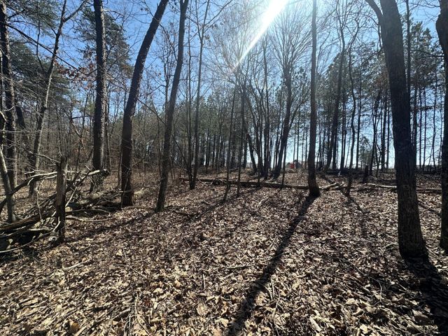 0 Crockett Point, Sequatchie, TN 37374
