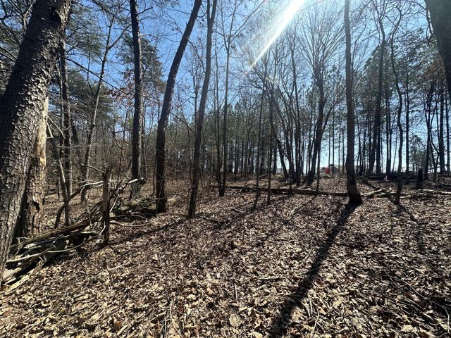 0 Crockett Point, Sequatchie, TN 37374