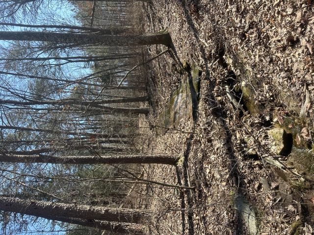 0 Crockett Point, Sequatchie, TN 37374