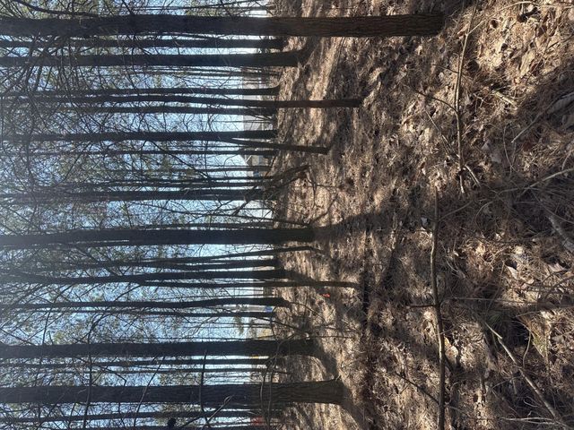 0 Crockett Point, Sequatchie, TN 37374