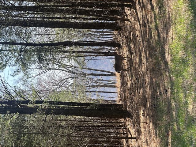 0 Crockett Point, Sequatchie, TN 37374