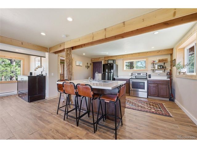 16510 Great Divide Trl, Pine, CO 80470