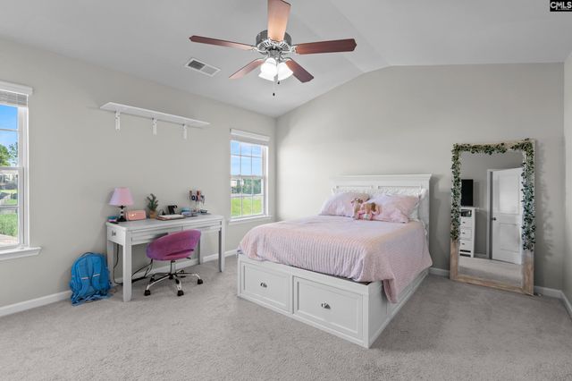 865 Sunseeker Drive, Chapin, SC 29036