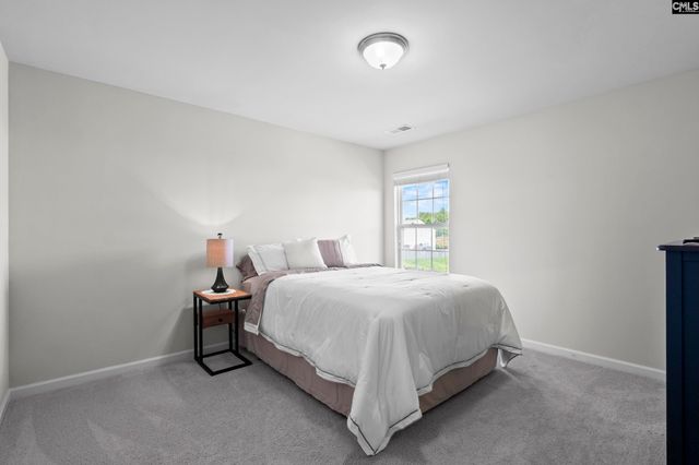 865 Sunseeker Drive, Chapin, SC 29036