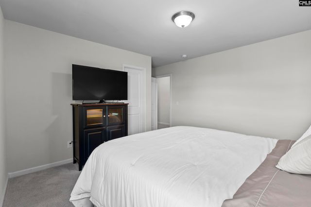 865 Sunseeker Drive, Chapin, SC 29036