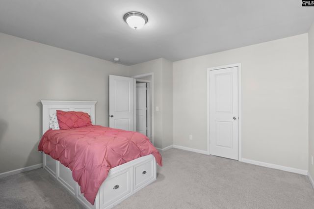 865 Sunseeker Drive, Chapin, SC 29036