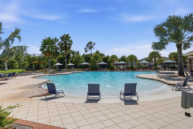 17204 YELLOW PINE STREET, Wimauma, FL 33598