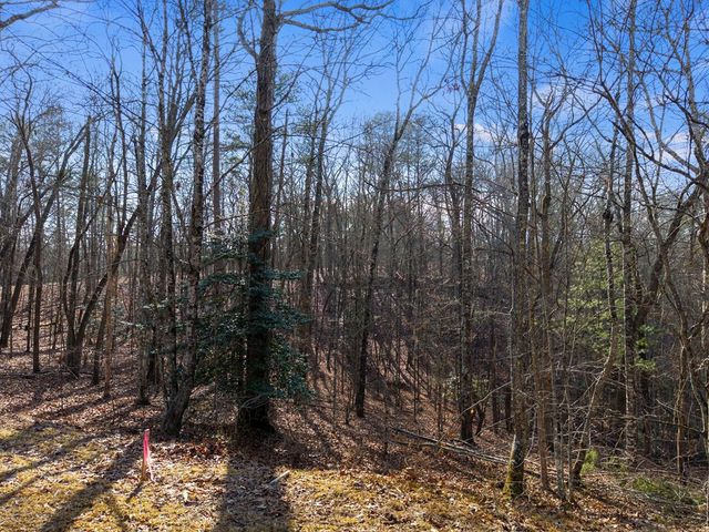 56 Robins Ridge, Blue Ridge, GA 30513