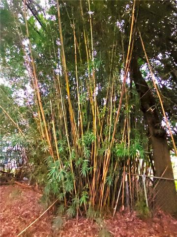 2753 Dauphin Street, Mobile, AL 36606