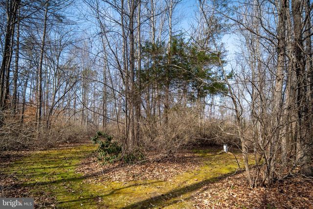 10610 KING EIDER CT, Spotsylvania, VA 22553