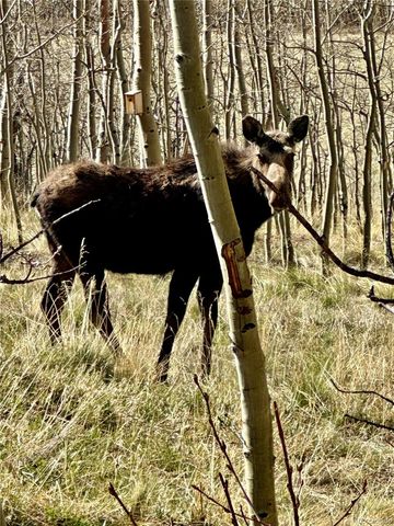 82 Sheep Ridge Road, Fairplay, CO 80440