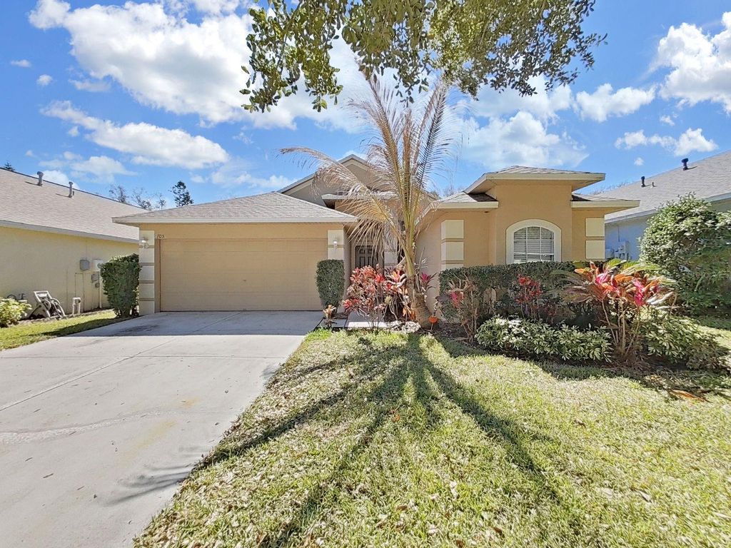 705 STRAW LAKE DRIVE, Brandon, FL 33510