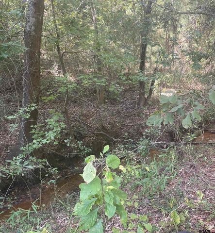 1000 CR 3211, Jacksonville, TX 75766