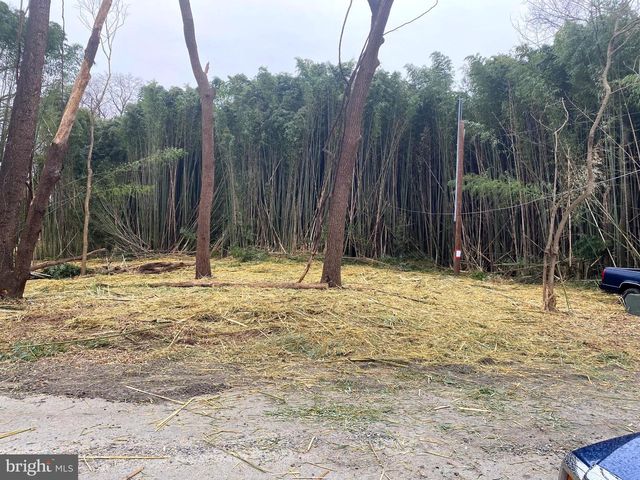 OHIO AVE, Earleville, MD 21919