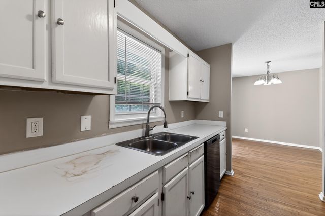 231 Sparkleberry Lane, Columbia, SC 29229