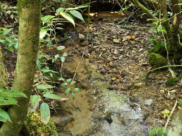 229 Hubbard Hollow Road, Rosman, NC 28772