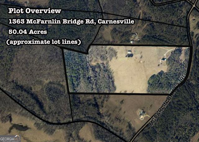 50 ACRES McFarlin Bridge, Carnesville, GA 30521