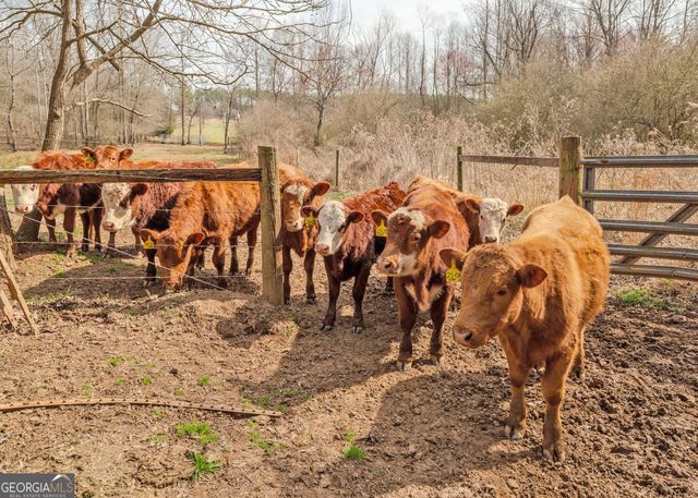 50 ACRES McFarlin Bridge, Carnesville, GA 30521