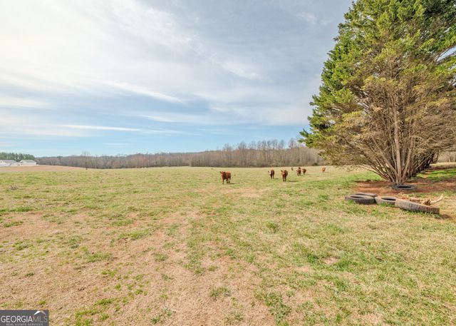 50 ACRES McFarlin Bridge, Carnesville, GA 30521