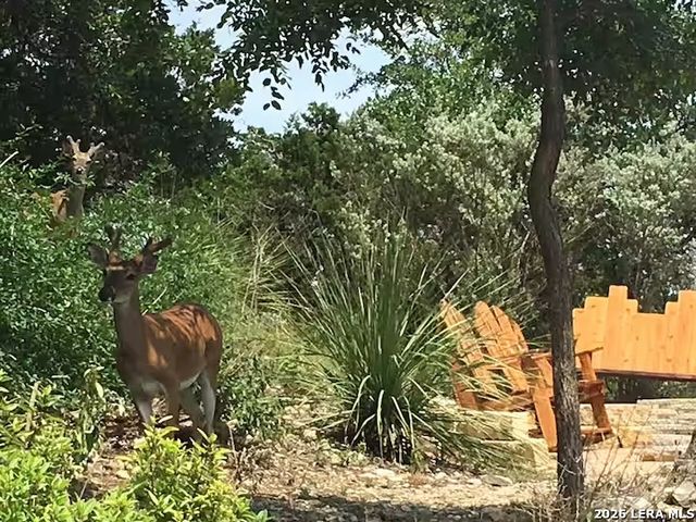 1435 Trail Pass, Canyon Lake, TX 78133