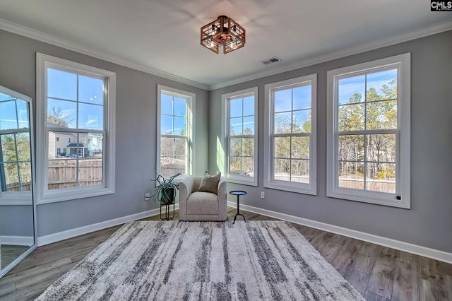 1420 Saugus Court, Chapin, SC 29036