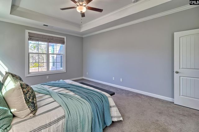 1420 Saugus Court, Chapin, SC 29036