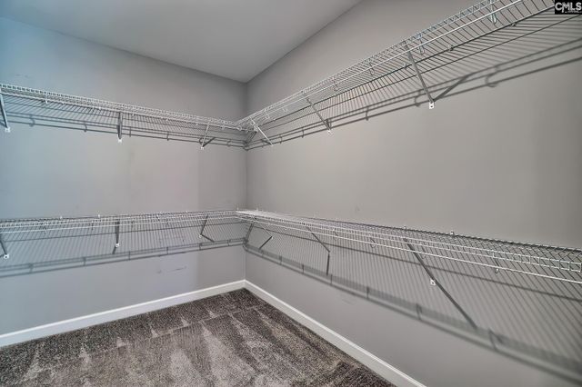 1420 Saugus Court, Chapin, SC 29036