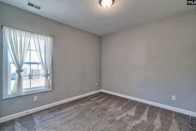 1420 Saugus Court, Chapin, SC 29036