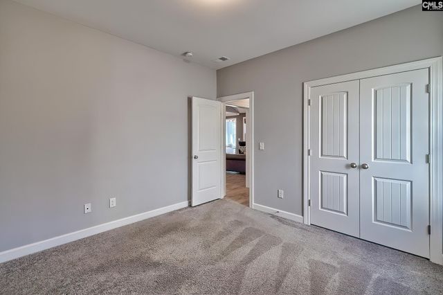 1420 Saugus Court, Chapin, SC 29036