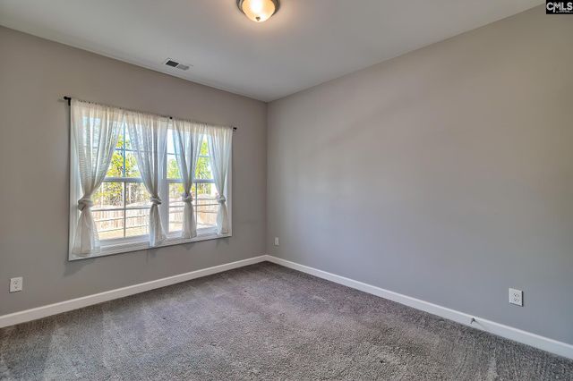 1420 Saugus Court, Chapin, SC 29036