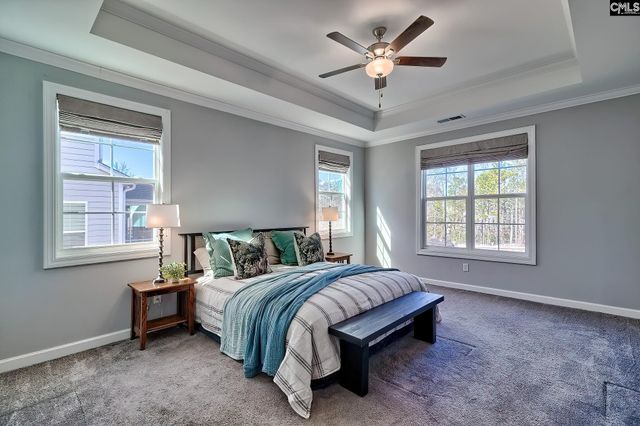 1420 Saugus Court, Chapin, SC 29036