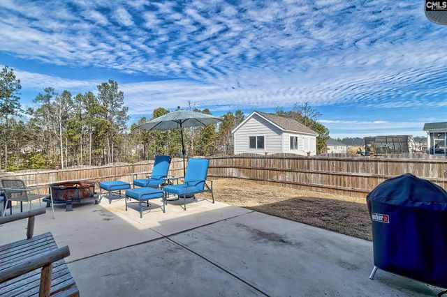 1420 Saugus Court, Chapin, SC 29036