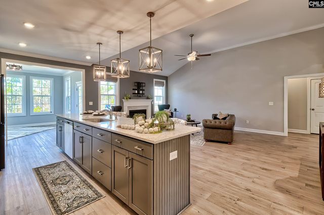 1420 Saugus Court, Chapin, SC 29036