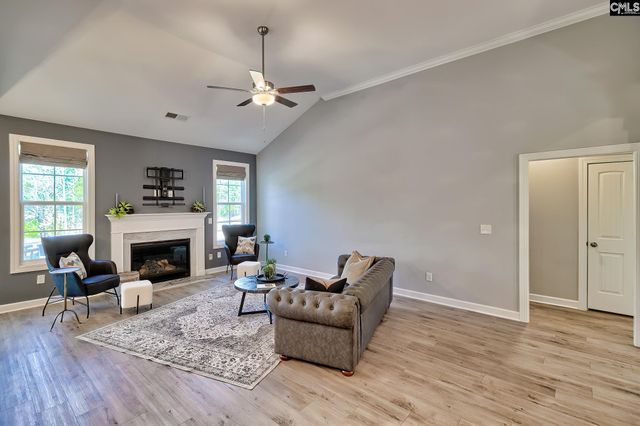 1420 Saugus Court, Chapin, SC 29036