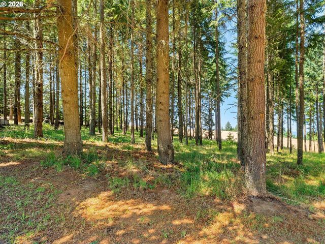 36905 Sw GODDARD Rd, Cornelius, OR 97113
