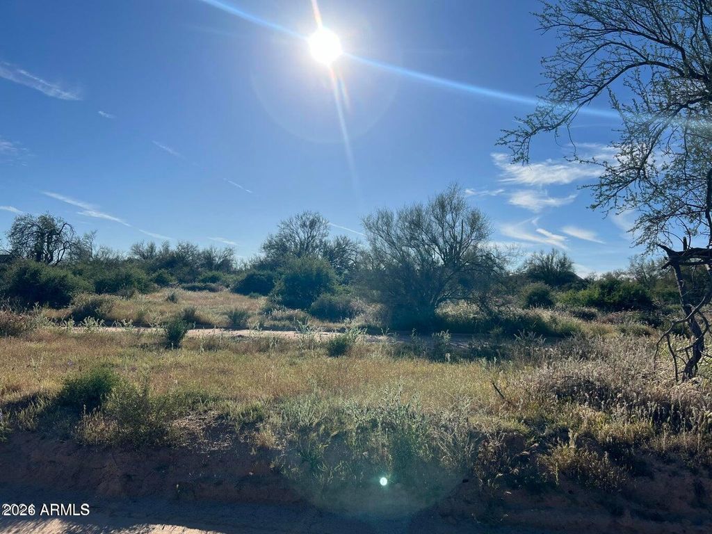 168xx N 168 Street -, Rio Verde, AZ 85263 — photo 3