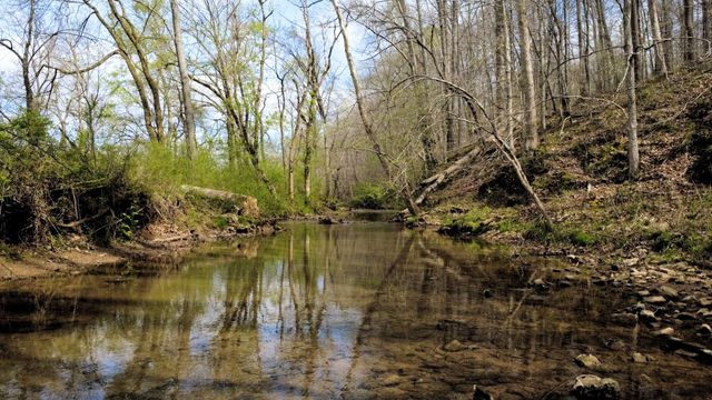 293 E Piney Rd, Dickson, TN 37055
