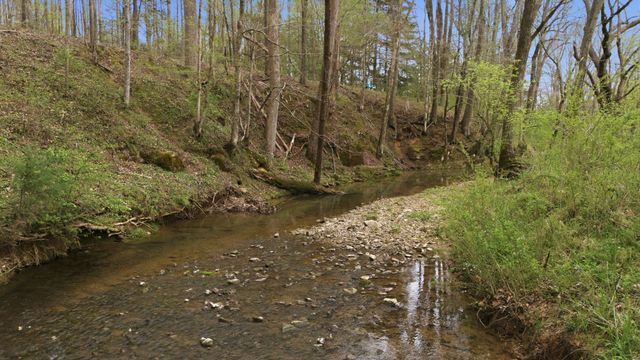 293 E Piney Rd, Dickson, TN 37055