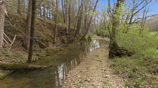 293 E Piney Rd, Dickson, TN 37055